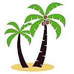Palms Media